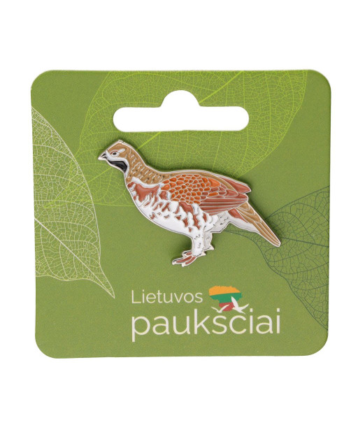 Ženkliukas Paprastoji jerubė